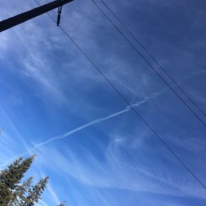 Meet your Posher, Manon